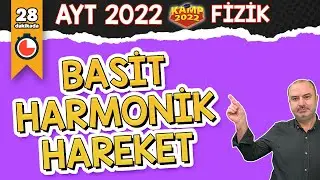 Basit Harmonik Hareket | AYT Fizik 