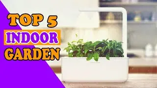 Top 5 Best Indoor Garden Systems In 2022
