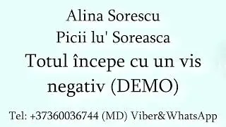 Alina Sorescu si Picii lu' Soreasca - Totul începe cu un vis (Negativ) DEMO