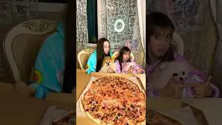 реакция на видео