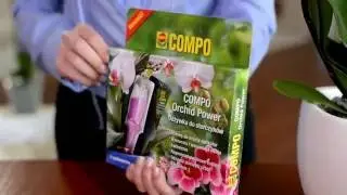 Compo - аппликатор для орхидей!