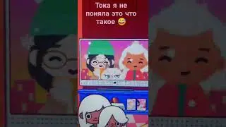 26 ноября 2023 г.
