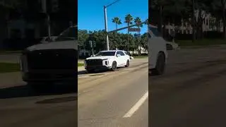 2024 Hyundai Palisade | Totally Practical...Kinda Premium