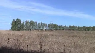 Металлокоп-Вот и лето прошло  словно и не бывало...