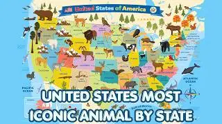 YOU WON'T BELIEVE THESE ARE ACTUALLY U.S. STATE ANIMALS!
