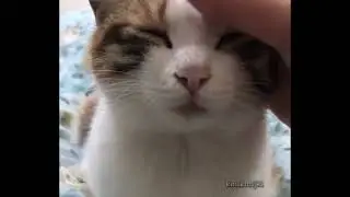eepy
