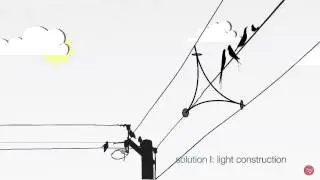 Demola Maribor-Birds on electrical overhead wire conductors