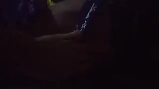 xx nx
