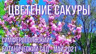 #Симферополь2021
