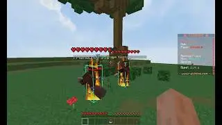 Слишком скиловый топер рейдмайна | raidmine | mst | holyworld