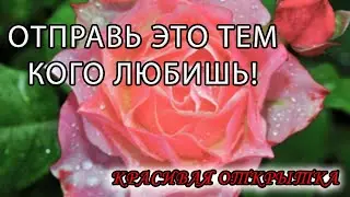 💗ЖЕЛАЮ ЛЮБВИ И ТЕПЛА ВАШЕМУ ДОМУ💗 С ДОБРЫМ УТРОМ! ДОБРОЕ УТРО ХОРОШЕГО ДНЯ! КРАСИВАЯ ОТКРЫТКА