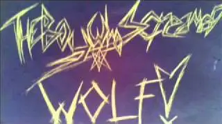 TheBoyWhoScreamedWolf - Scarred (acoustic original)