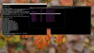 PotatOS Updates! - 16-Bit Assembler operating system