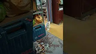 Разговоры о главном 😁
