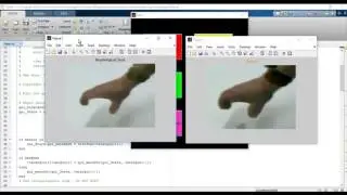 Real time hand gesture recognition matlab code projects