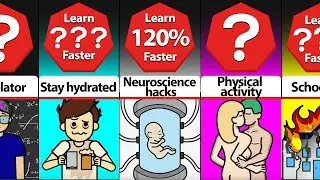 Timeline: How to Learn Faster