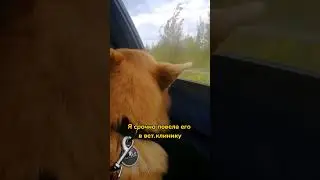 Погуляли... 