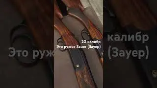 20 калибр - охотничьи ружья обзор - чем отличается от 12 калибра 