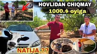 Tell☎️ 99.117.20.00 ☎️ 93.295.46.65 BIOGUMUS KALIFORNIYA QIZILYOMG'IR CHUVALCHANGI JIZZAX BIOGUMUS