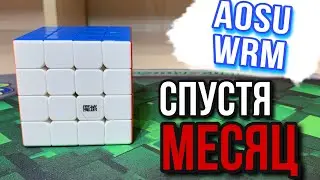 MOYU AOSU WRM: A MONTH LATER