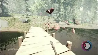 Throwback To The Forest