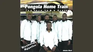 Wonile Matanami