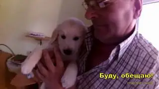 Первый день в новом доме