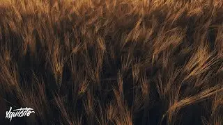 Keiden, Weird Kid, Lena Luisa - Collide