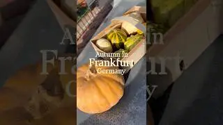 Autumn vibes in Frankfurt ☕️🍁 October mini vlog