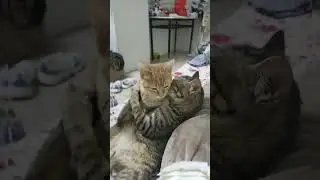 That's real love