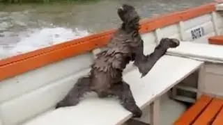 WTF! Strange CREATURE on my boat dries! PARANORMAL?