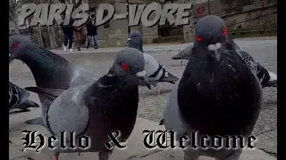PARIS D-VORE - Hello & Welcome - By ENIGMA - Fimi Palm 4K - Lyric ENG/FR.
