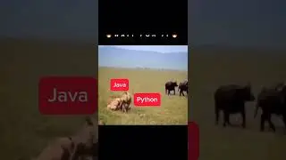 Coding status🔥🔥🔥#shorts #status #coding #python #css #html #code #javascript #java #codingstatus#js
