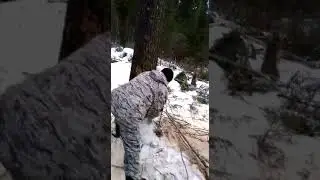 Валка дерева при помощи домкрата