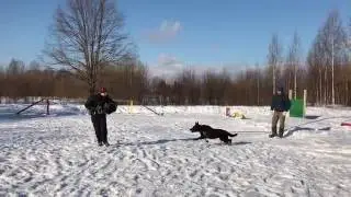 Хельхаус Застава пуск с Егором Недбайло