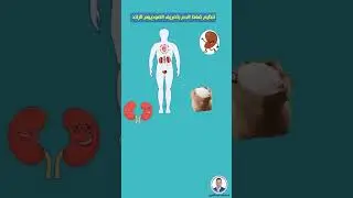 وظائف الكِلية | سبحان الله