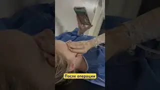 11 июня 2023 г.