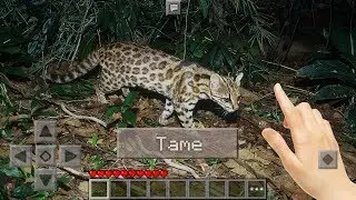 Minecraft Pocket Edition in Real Life - Taming Animals