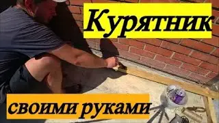 Курятник своими руками (1 Этап)/ Сорвали первый помидор