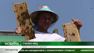 Централна емисия новини на АГРО ТВ – 03.09.2024 г.