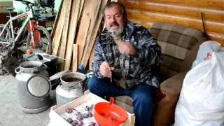 Фрукторвая брага Слива