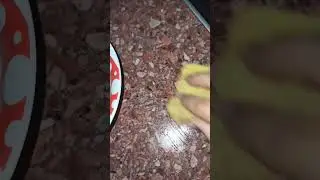 #совет