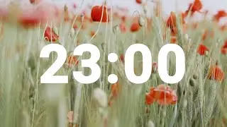 23 Minute Timer with Relaxing Music and Alarm, Countdown Clock for Stress Relief