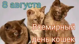8 АВГУСТА - ВСЕМИРНЫЙ ДЕНЬ КОШЕК//ПОЗДРАВЛЕНИЕ С ДНЁМ КОШЕК