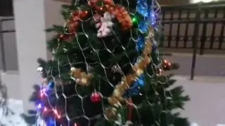 Челендж найти 10 Ёлок | Challenge to find 10 trees | Голицыно