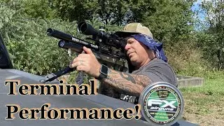 Pest Hunting with the NEW FX Atomics and Wildcats!