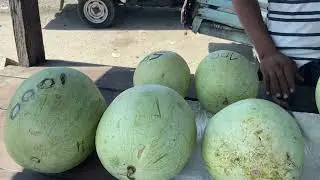 The watermelon seller