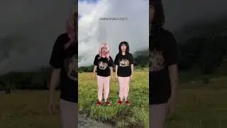 тг: струя бобра