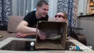 #ЧЕЛЛЕНДЖ #УГАДАЙ, ЧТО В #КОРОБКЕ, # DESAFÍO # Adivina qué hay en # CAJA