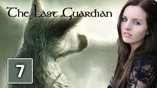 EVERYTHING IS CALM | The Last Guardian Gameplay Walkthrough Part 7